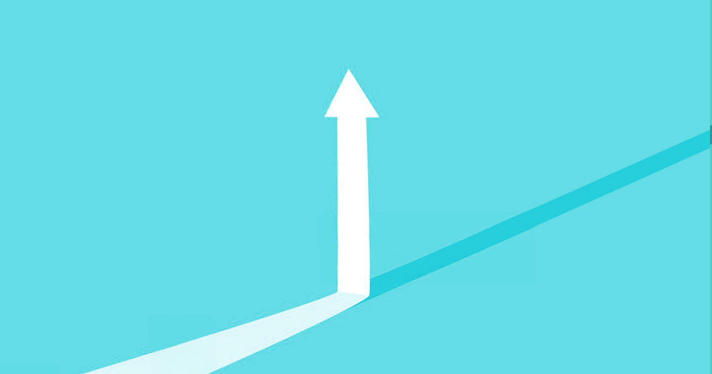 dieSaremas Referenzen